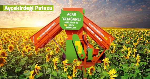 Ayçekirdeği Patozu